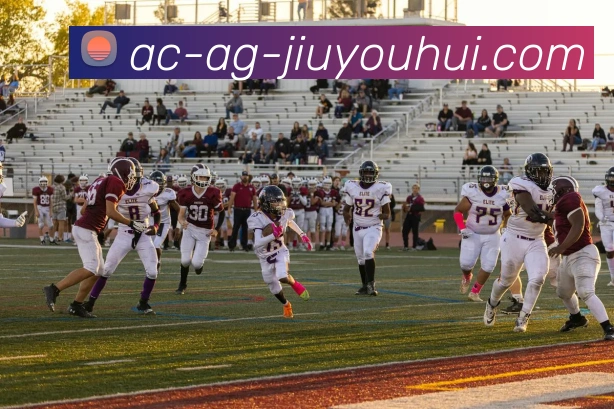 数据防护可视化